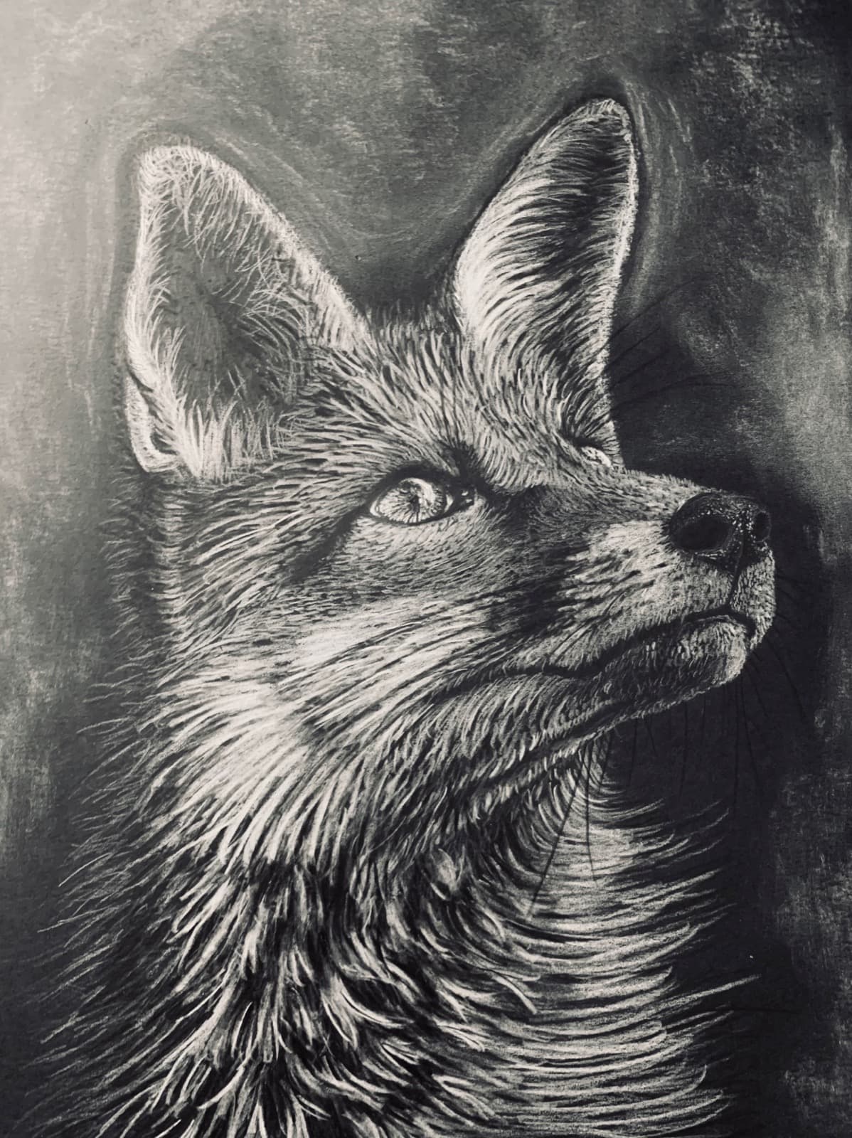 Silent Watcher